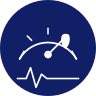 Pyramid DMS vehicle health check (VHC) icon